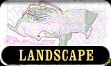 landscape feautres plan